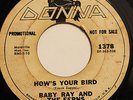 BABY RAY & THE FERNS - FRANK ZAPPA RELATED-HOW'S YOUR BIRD /THE WORLD'S GREATES