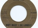 SURF / TEEN 45 - LADY BIRDS 