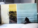 (3) FOALS Vinyl Records / Albums- Antidotes, Holy Fire, What Went Down (sub pop)