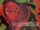 Breeders Last Splash 180GR. NEW OVP Plain Vinyl LP