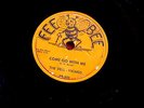 DELL VIKINGS COME GO WITH ME RARE HOW CAN I FIND TRUE LOVE FEE BEE  DOO WOP  78
