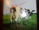 PINK FLOYD / ATOM HEART MOTHER / MINI LP / CD