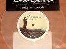 DAVID GILMOUR TAKE A BREATH 7