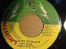 PABLO ROOTS REGGAE MR. OPERATOR /  dub