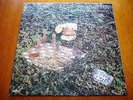 KOZMIC MUFFIN Space Between Grief And Comfort PSYCH PROG ROCK ORIG LP 500 PRESS