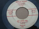RARE 45 Roosevelt Lee Hey Little Girl/You Are The Answer on Hilltop Records