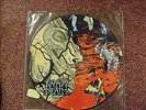 Napalm Death - Harmony Corruption    Picture