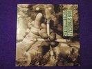 DUB SYNDICATE - VINYL  ALBUM (LP) - STONED IMMACULATE - ON U SOUND - ON U LP56