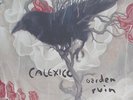 Calexico Garden Ruin NEAR MINT City Slang Vinyl LP