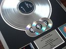 DEPECHE MODE VIOLATOR MULTI PLATINUM DISC RECORD AWARD