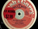 * JUNIOR DELGADO Fly Natty Natty RARE ROOTS DUB KILLER Cash & Carry 12
