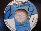 The African Africans - Tribulation - High Note 7