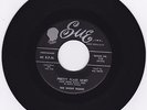 R&B Demented ROCK 45 Mel Smith & The Night Riders 
