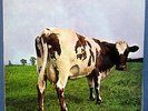 PINK FLOYD - Atom Heart Mother - Australia QUADRAPHONIC VINYL LP - EXCELLENT