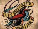 City And Colour - Sometimes 2x Vinyl LP Sealed (Dallas Green, Alexisonfire)