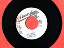 PATRICK ANDY Them A Worry, Version, RARE 7