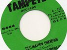 The Delreys Incorporated - Destination Unknown / Crying in my sleep