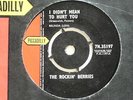 THE ROCKIN' BERRIES - I DIDN'T MEAN TO HURT YOU - 7