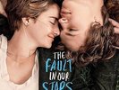 VARIOUS ARTISTS**FAULT IN OUR STARS (WITH DOWNLOAD/GATEFOLD)**2 VINYL SET