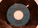 EX-13th Floor Elevators -You're Gonna Miss Me/Tried to Hide Canada RARE London