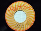 FREDDY MCKAY jah love i KILLER ROOTS STEPPER 45  - hear MP3