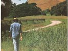 Old Ways  Neil Young Vinyl Record