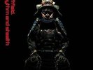 LEFTFIELD**RHYTHM AND STEALTH (180G)**VINYL