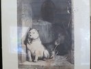 PAVLOV'S DOG Pampered Menial ABC 1975 Fantastic Art Prog Rock SEALED First Press