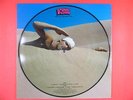 HYPER RARE NEW 33T PICTURE DISC PINK FLOYD  250EX