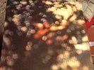PINK FLOYD - Obscured By Clouds. UK HARVEST LP. Psych Rock. 1972. Rounded Corner