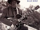 APO | Jimmy Rogers - Blue Bird 180g 2LPs (45rpm) NEU