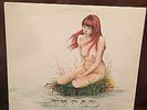 TURID BILDER 1ST PRESS SILENCE 1973 SWEDEN RARE FEMME ACID FOLK INSERT PSYCH