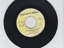 TRYING MAN/EVERYTHING RAISED  -  DELROY WILSON  (  REGGAE ROCKERS 7