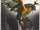 In For The Kill  Budgie Vinyl Record