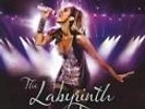 Leona Lewis - The Labyrinth Tour - Live From The O2 [Blu-ray] Englisch