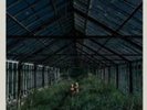 Foxing Dealer Black 180 G Sold Out Oop Tigers Jaw Modern Baseball