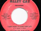 Modern Soul Stepper 45 CHARLES WILSON I Don't Want To Lose Your Love HEAR Nice