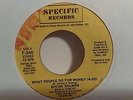 DIVINE SOUNDS ''CHANGES ( WE GO THROUGH ) RAP-HIP HOP PROMO 45 SPECIFIC MINT-