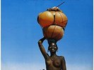 African Electronic Music 1975-1982 [VINYL] Francis Bebey Vinyl