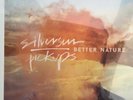 SILVERSUN PICKUPS BETTER NATURE BAND 
