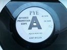 Gary Miller Gerry Anderson UK 7