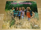 RAW MATERIAL - SAME ( ORIGINAL GERMAN FIRST PRESS  VOGUE LDSV 17236)