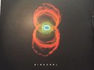RARE Pearl Jam Binaural (2000) 2 x LP