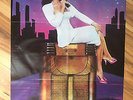 DONNA SUMMER On The Radio GREATEST HITS Vol.1&2 2 LPs Vinyl LP w/ large poster
