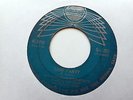 CANADIAN DOWNBEATS White Sands of Paradise/Surf Party RARE Garage/Surf