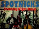 THE SPOTNICKS SWEDISH SURF LP KILLER 