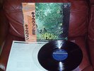 Caravan ?– If I Could Do It All Over Again.. (K16P-9058) Japan  OBI LP Vinyl NM