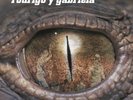 Rodrigo Y Gabriela (Gatefold sleeve) [180 gm vinyl] * NEW, Rodrigo Y Gabriela