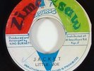 Little Joe 
