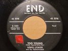 LEWIS LYMON AND THE TEENCHORDS END GROUP HARMONY / DOO-WOP RARE 45 #1003 $125